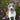 WTF Is Freeze-Drying and What Does It Do to My Dog's Food?